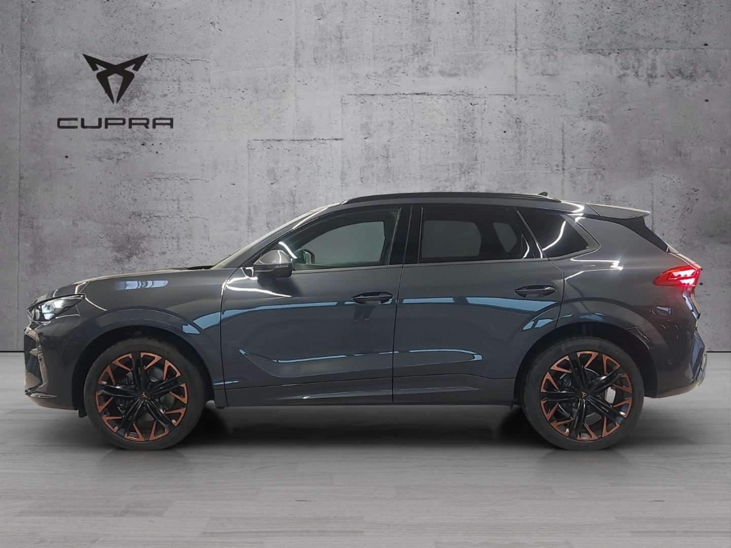 Cupra Terramar - Bild 4