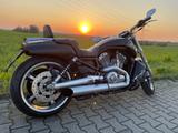 Harley-Davidson V-ROD MUSCLE VRSCF