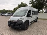 Bravia Swan 599 - Bravia Kastenwagen