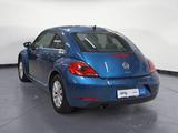 Volkswagen Beetle 1.2 TSI DSG BMT Design Servotronic Panora - Volkswagen Beetle mit Benzin-Antrieb: Automatik