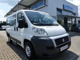 Fiat Ducato AHK/KLIMA/9.Sitzer/HU&AU NEU ! - Fiat Ducato: Sitze