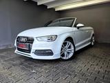 Audi A3 1,8 TFSI Cabrio quattro S LINE, NAVI, LED - Audi: Weiß, Cabrio