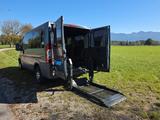 Fiat Ducato 250 Rollstuhl/Rennstrecke/Motocross - gebrauchte Fiat Ducato aus dem Jahr 2008
