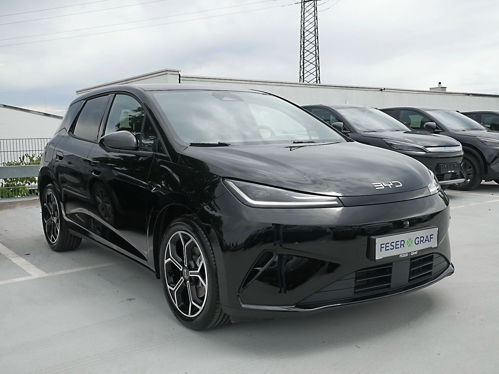 BYD DOLPHIN