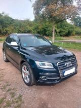 Audi SQ5 Competion panorama/keyless - Audi SQ5 in Mannheim