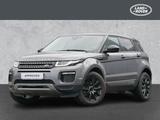 Land Rover Range Rover Evoque SE - Land Rover Range Rover Evoque in Magdeburg