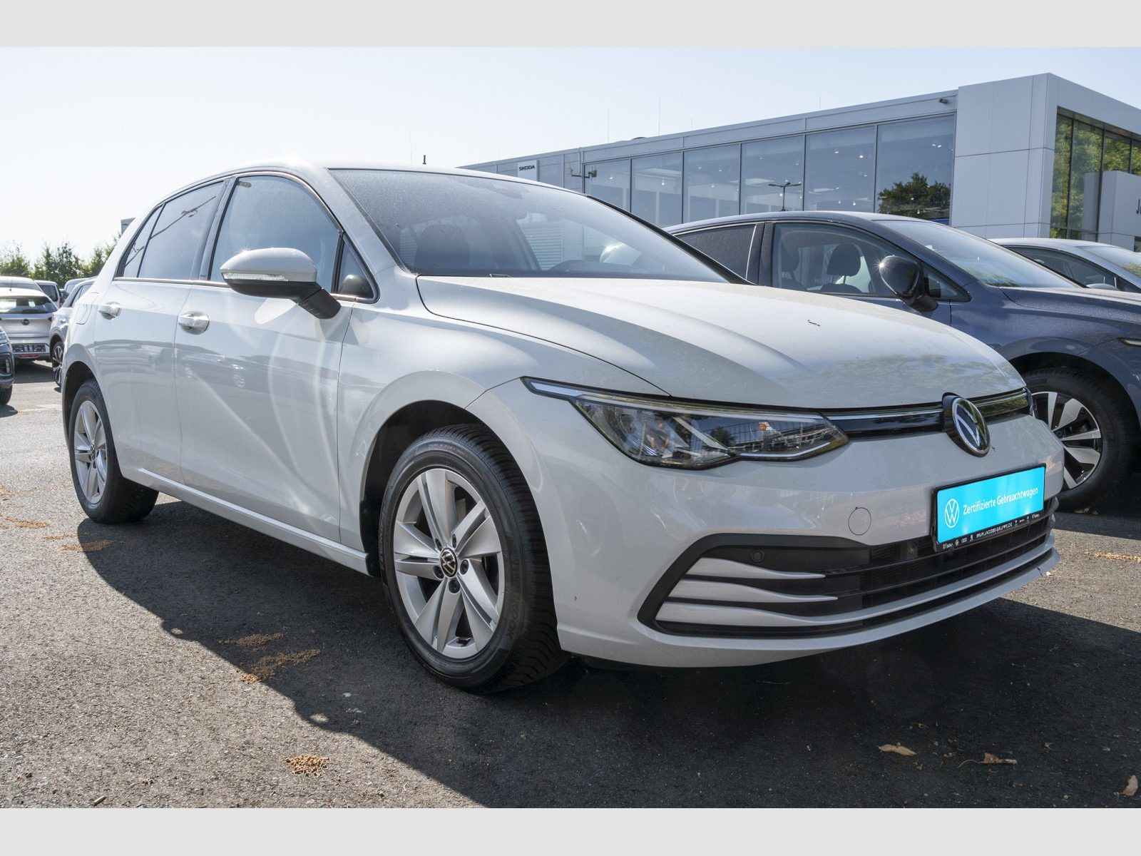 Volkswagen Golf VIII 1.5 eTSI Life DSG Licht Sicht Sitzheiz foto 3