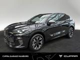 Cupra Terramar 1.5 eTSI DSG Sitzhzg LED Kamera - Cupra Terramar Gebrauchtwagen