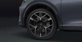 Cupra Formentor VZ 2.0 TSI 265PS Loyalisierung Privat - Cupra Formentor: Alcantara