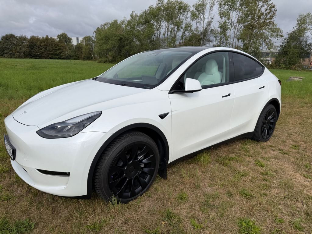 Image of Tesla Model Y