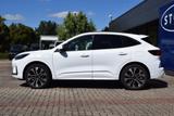Ford Kuga PHEV Plug-In ST-Line X Vollausstattung - : Alcantara, mit ABS, Geländewagen