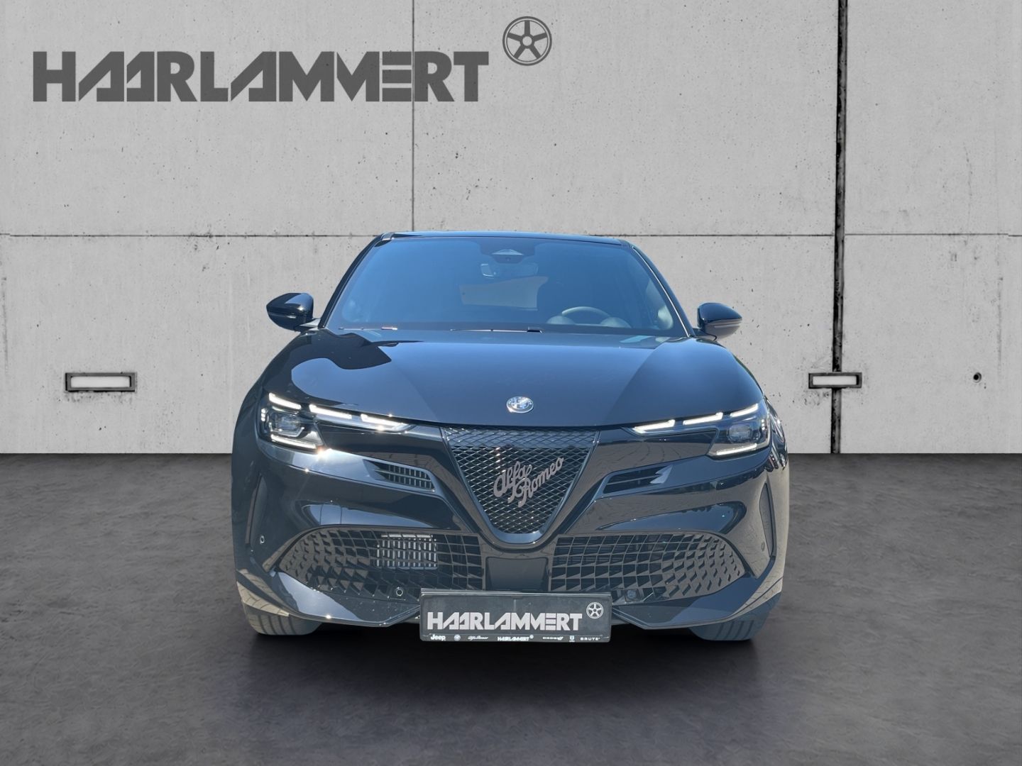 Alfa Romeo Junior - Bild 4
