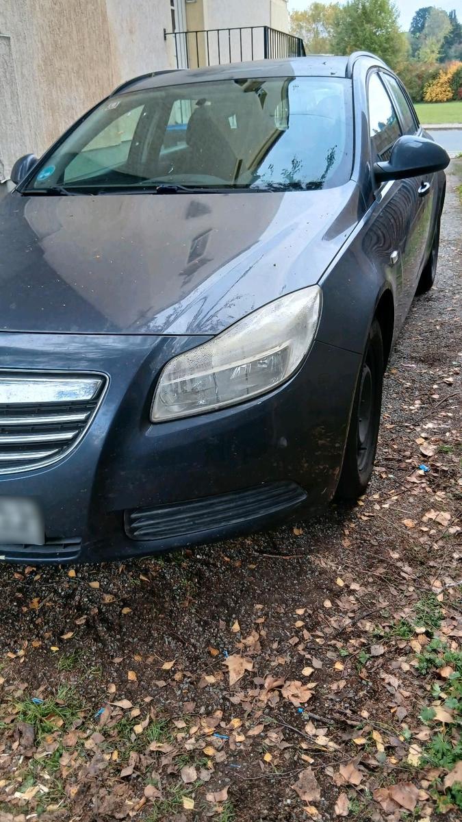 Opel Insignia 2010 — rear view