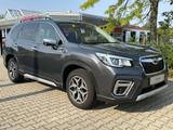Subaru Forester S14/SK 2,0ie Mild-Hybrid CVT Platinum S - Subaru aus 2020