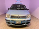 Fiat FIAT Panda 1.2 .Alessi - Fiat Panda: Alessi