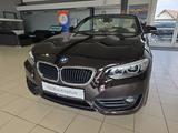 BMW 220i Cabrio Advantage 1.Hand Leder Kamera LED - mit Benzin-Antrieb: Braun, Cabrio