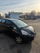 Honda Jazz 1.2 i-VTEC | NEUER TÜV Top gepf... - Honda Jazz GE