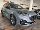 Ford Kuga 2.0 EcoBlue Hybrid 150 CV 2WD ST-Line - Ford Kuga ST-Line mit Hybrid-Antrieb (Diesel-Elektro)