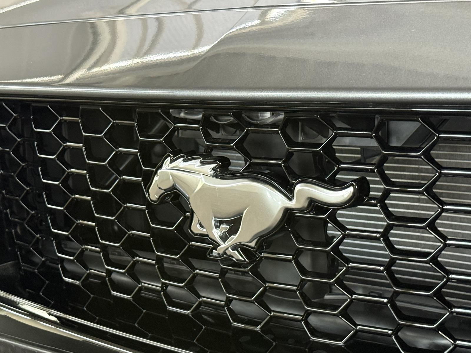 Ford Mustang 5.0 GT Cabrio Automatik | MagneRide