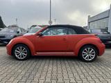 Volkswagen Beetle Cabriolet 2.0 TDI DSG Club Klima Navi - Volkswagen Beetle: TDI