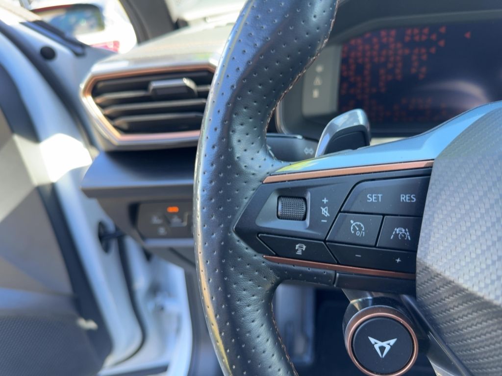 Fahrzeugabbildung CUPRA Formentor VZ, NAVI, LHZ, SHZ, Leder