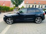Audi SQ5 3.0 TDI competition quattro RFK EHK TWA PANO - Audi SQ5 in Krefeld