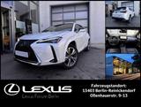 Lexus UX300e Luxury Line  * 72,8 kWh * Neues Model * - Lexus: Geländewagen, 7
