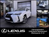 Lexus UX300e Luxury Line  * 72,8 kWh * Neues Model * - Lexus: 7