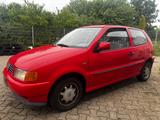Volkswagen Polo 6N2 1.4 Automatik *wenig KM* - Volkswagen Polo Kleinwagen Automatik 6n2 mit Benzin-Antrieb