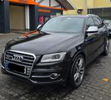 Audi SQ5 3.0 TDI Pano, ACC, B&O,VOLL - Audi SQ5 in Bonn