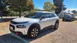 Citroën Citroen C4 Cactus BlueHDi 100 S&S ETG6 Shine - Citroën C4 Cactus Kombi Gebrauchtwagen