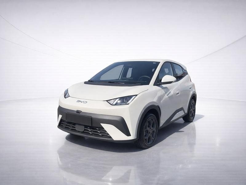 BYD Dolphin Surf Boost 43.2 kWh Sofort Verfügbar! imagem 2