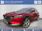 Mazda CX-30 2.0l "Selection" "PRE-P" "BOSE" M Hybrid - Mazda CX-30 Gebrauchtwagen in Berlin