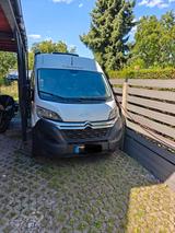 Globecar Globescout Plus 
