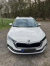 Skoda Octavia IV Combi 2.0 TDI DSG First Edit. PANO - Skoda Octavia iV Gebrauchtwagen