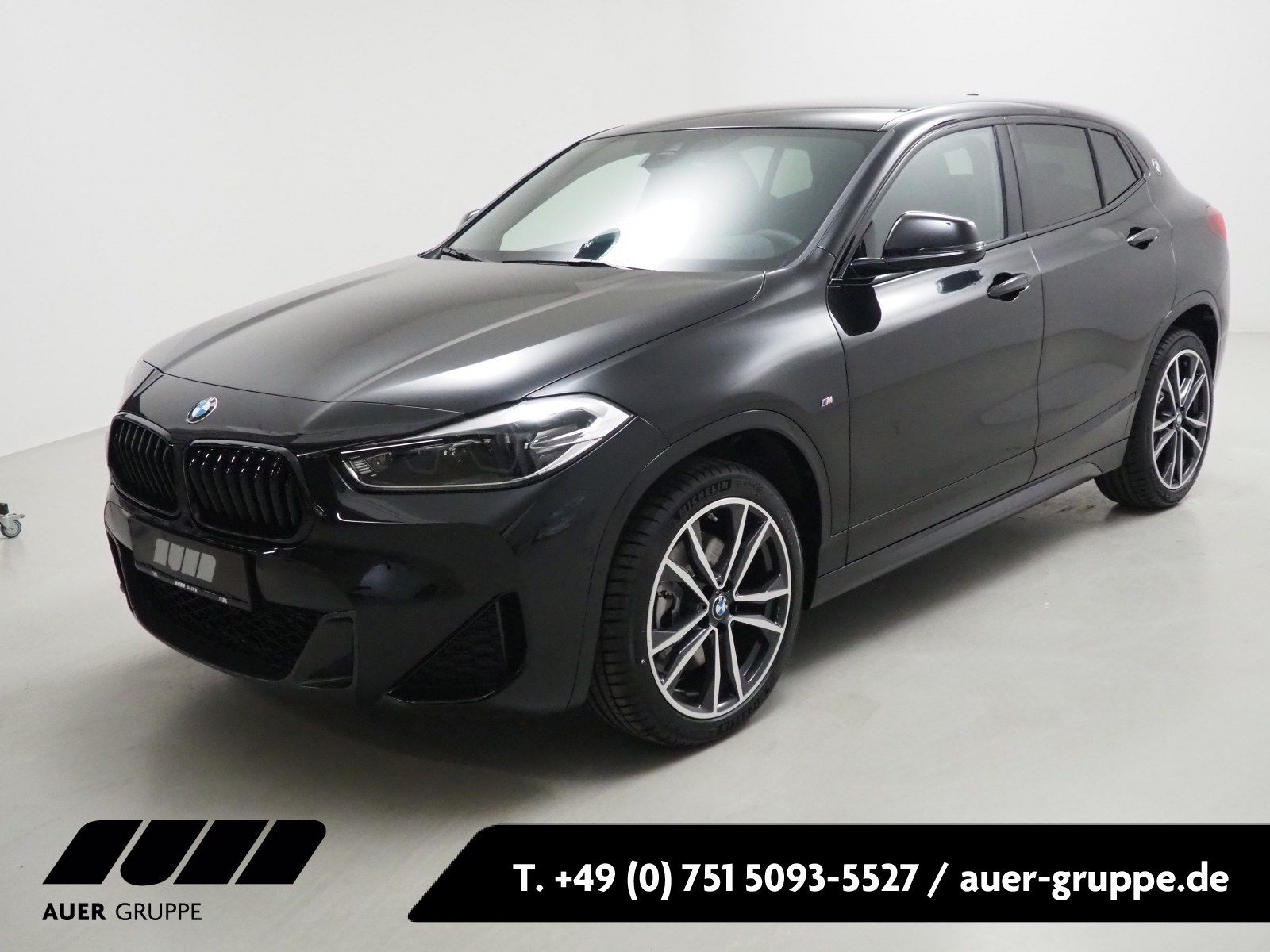 BMW X2 xDrive20i (M-Sport Navi LED Leder Shz PDC)