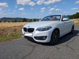 BMW 220i Steptronic Cabrio Sport Line Sport Line