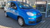 Fiat Panda Pandina ICON 1,0 GSE Hybrid - Fiat Panda Gebrauchtwagen in Augsburg