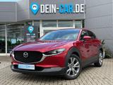 Mazda CX-30 Selection 2WD*MATRIXLED*NAVI*360°* - Mazda Gebrauchtwagen von 2020