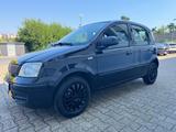 Fiat Panda 1.2 8V Classic - Fiat Panda Gebrauchtwagen in Wuppertal