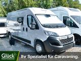 Clever Van Celebration * TOP ANGEBOT * - Offers
