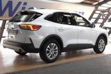 Ford Kuga Titanium ecoboost 1,5 Protect, Allwetter - Ford: Protect