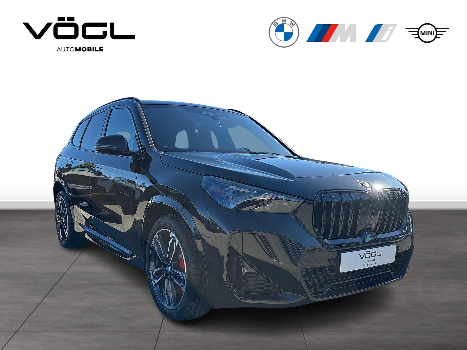 BMW X1 xDrive20d M Sportpaket Head-Up HK HiFi DAB