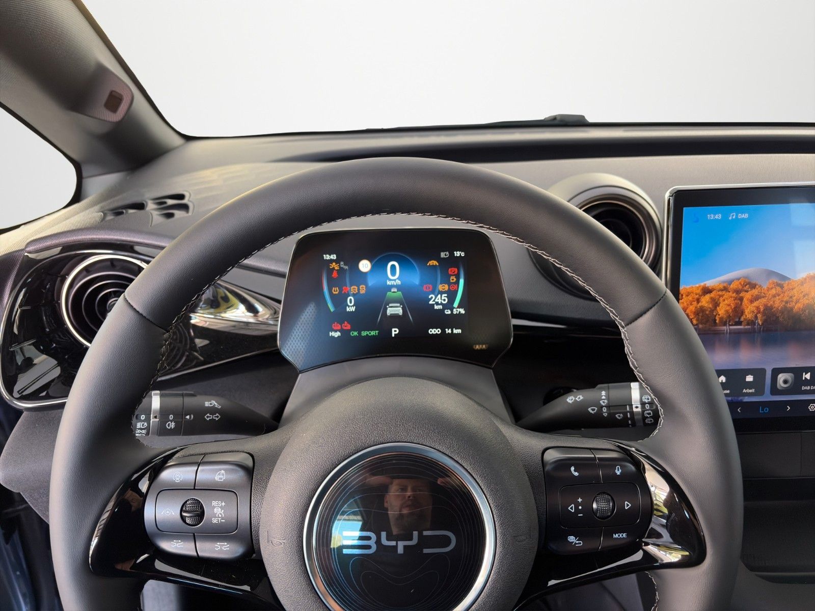 BYD DOLPHIN