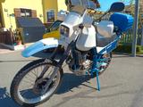 Suzuki DR600 Dakar - SUZUKI DR600