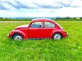 Volkswagen Käfer, BJ 2005 - Volkswagen Käfer Gebrauchtwagen