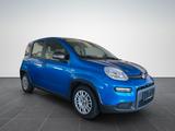 Fiat Pandina Cross Hybrid 1.0/PDC H/ - Fiat Panda Pandina mit Benzin-Antrieb