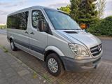 Mercedes-Benz Mersedes Sprinter 313 Automatik - Mercedes-Benz: Mersedes
