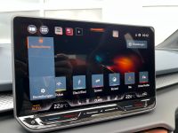 CUPRA Terramar 1.5 eTSI DSG PANO AHK KAM 19