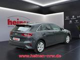 Kia cee'd 1.5 T-GDI DCT Vision NAVI-PAKET ACC - Kia Jahreswagen